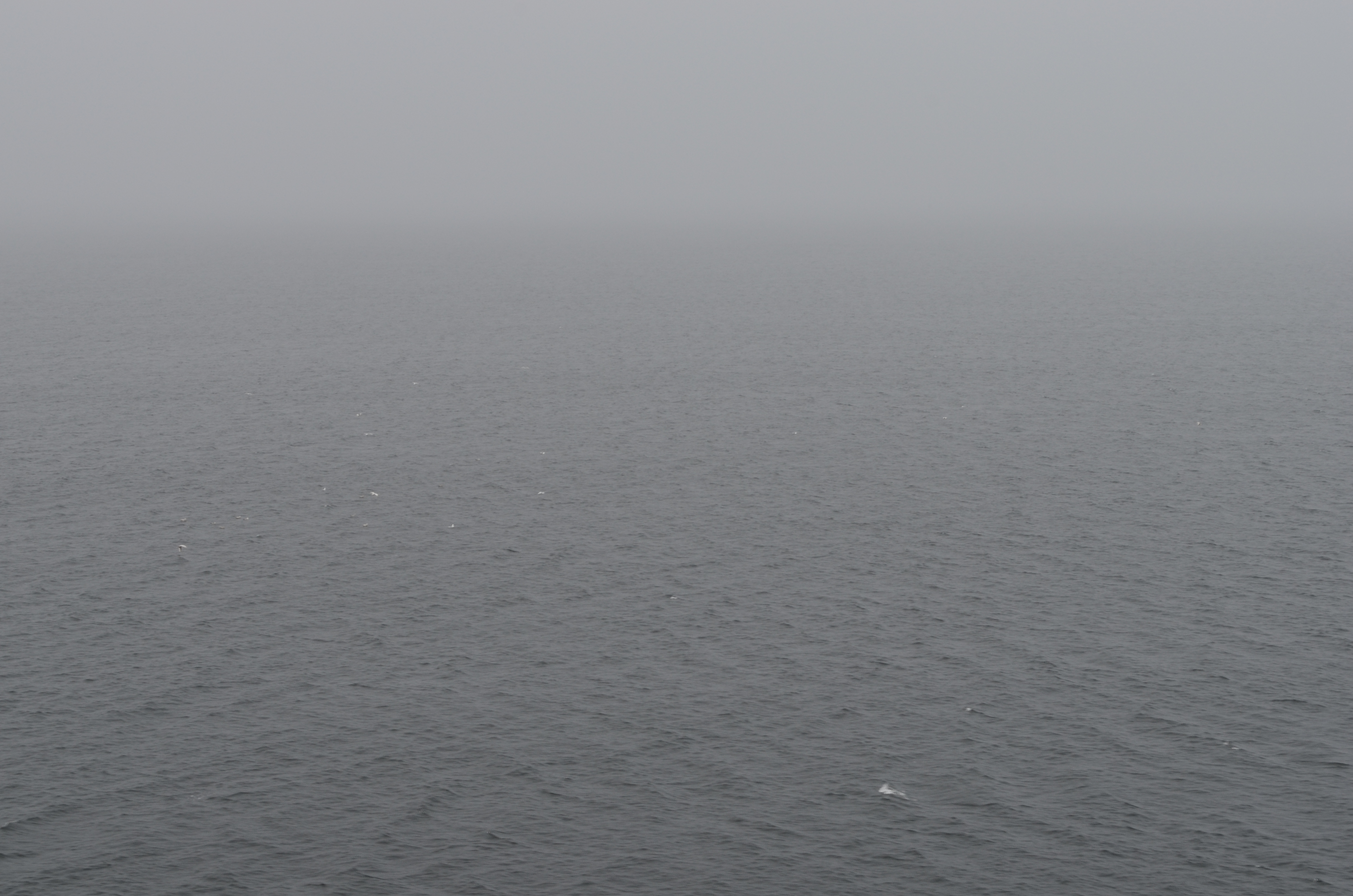 ./2017/08 - Alaska Cruise/11 - Ketchikan/DSC_0551.JPG